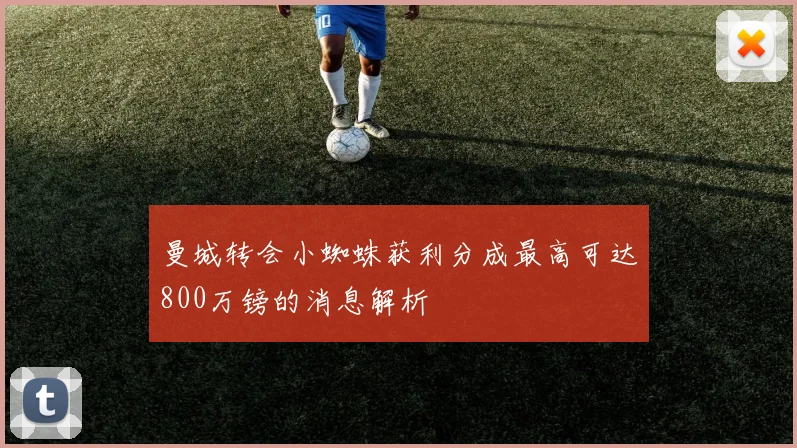 曼城转会小蜘蛛获利分成最高可达800万镑的消息解析