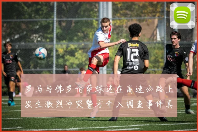 罗马与佛罗伦萨球迷在高速公路上发生激烈冲突警方介入调查事件真相