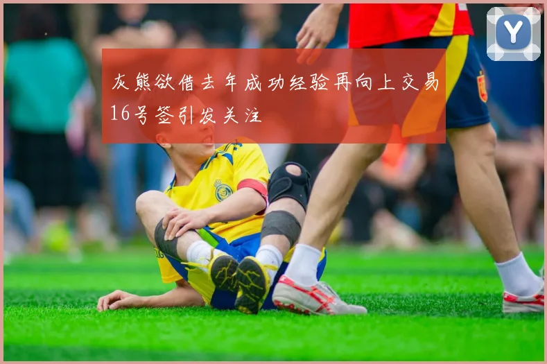 灰熊欲借去年成功经验再向上交易16号签引发关注